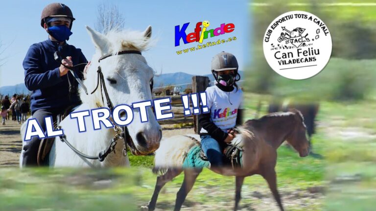 Actividades deportivas en Viladecavalls: Oportunidades y opciones