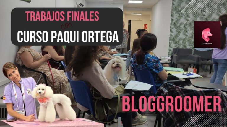 Mejores opciones para cursos de redes sociales en Terrassa