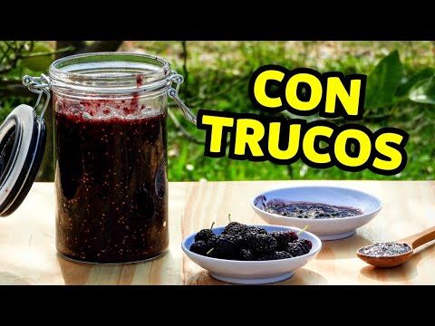 Restaurantes en Mura con opciones para cel&iacute;acos