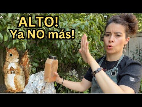 Tienda de productos sin pl&aacute;stico en Matadepera: &iquest;D&oacute;nde encontrarlas?