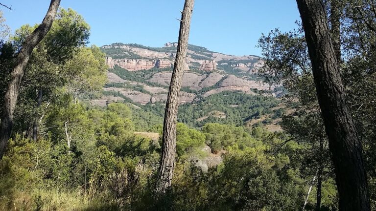 Rutas de Montaña desde Sant Vicenç de Castellet