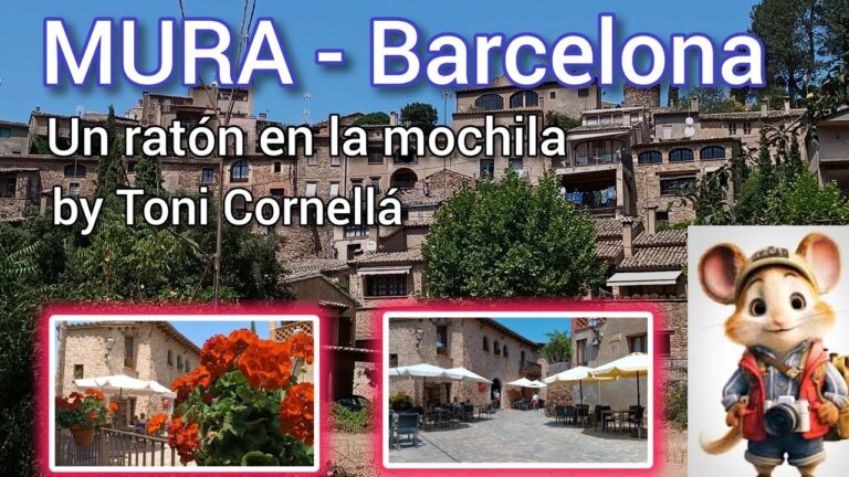 Transporte en Mura: Eficiencia y Conectividad